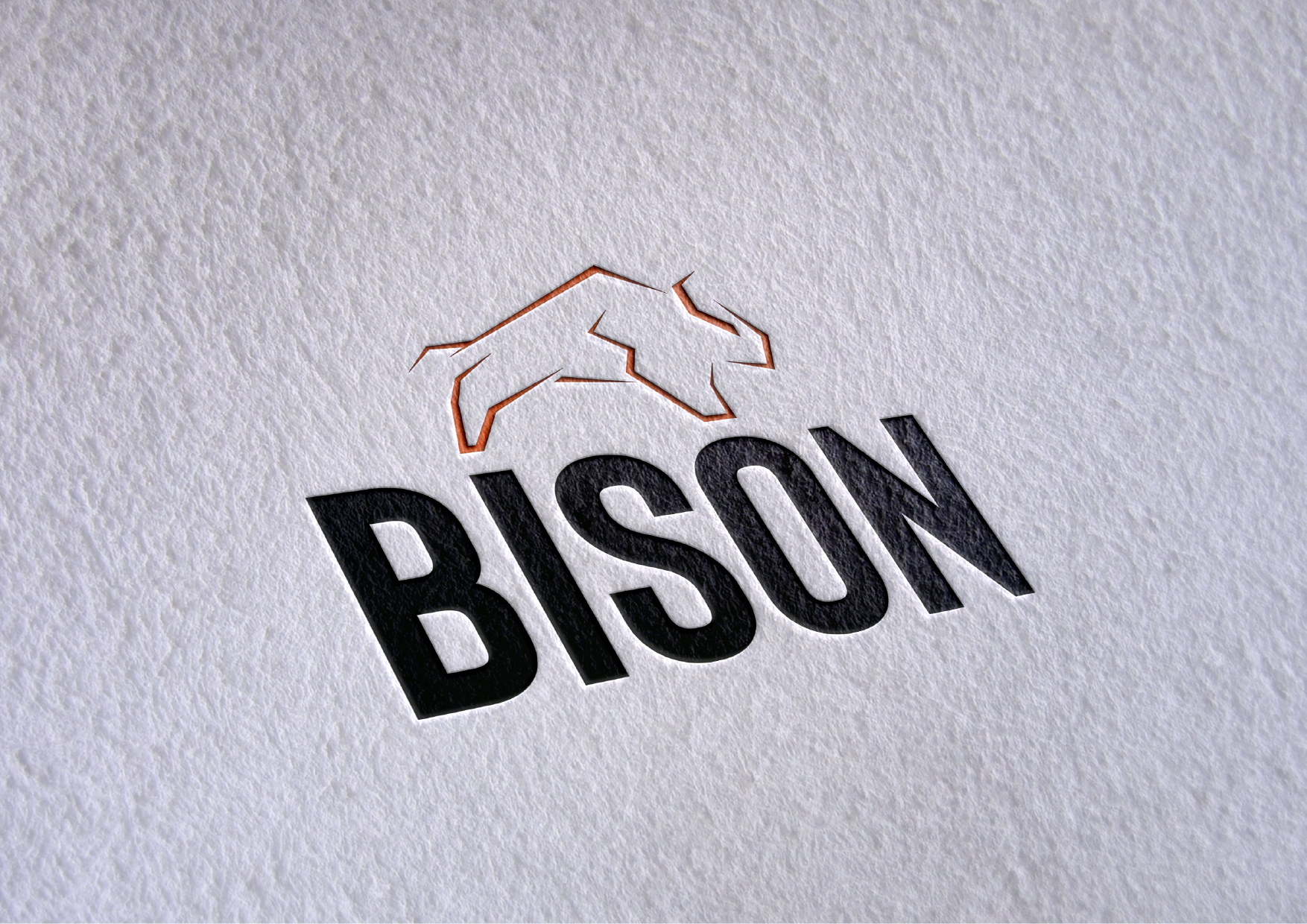 Bison Logo design