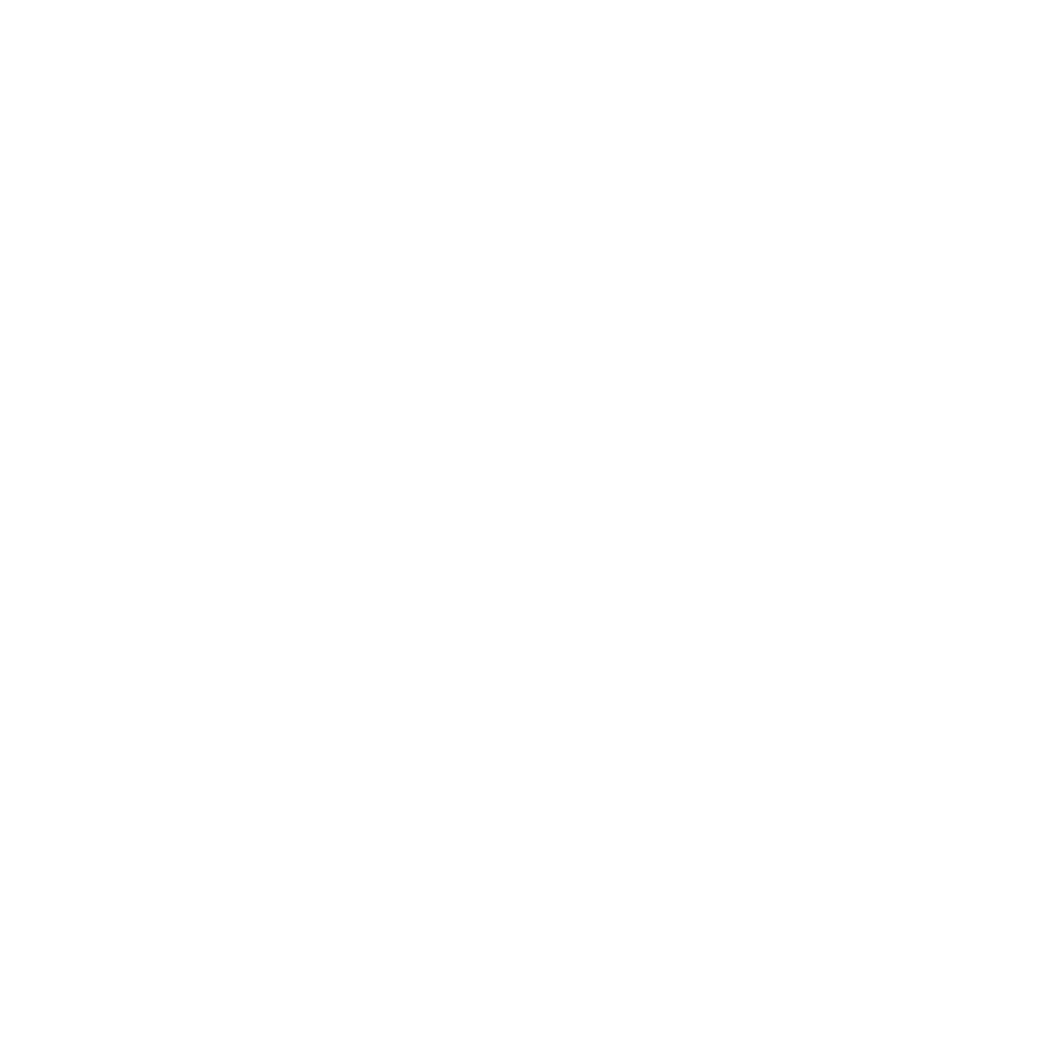 Icon-06