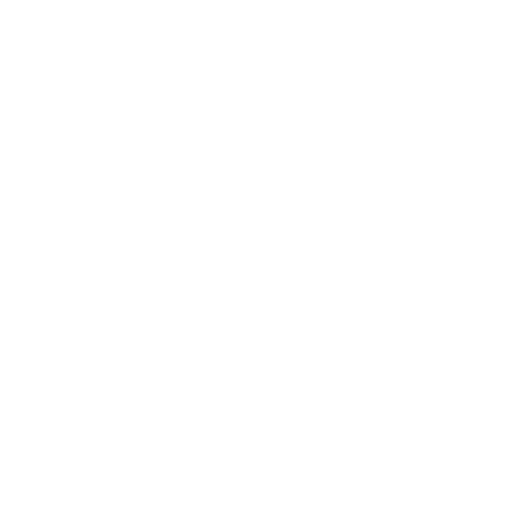 Icon-08