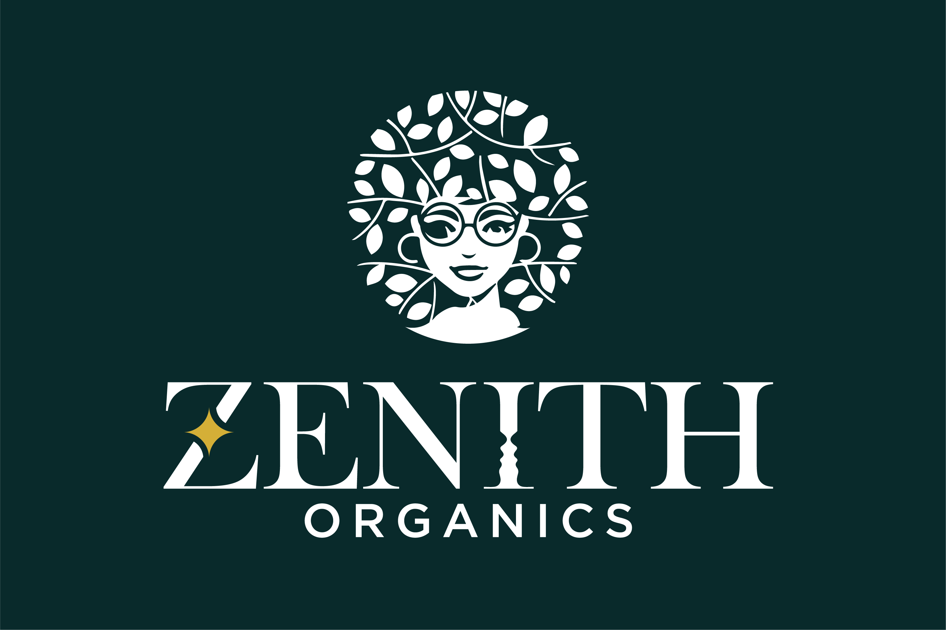 Logo presentation-02
